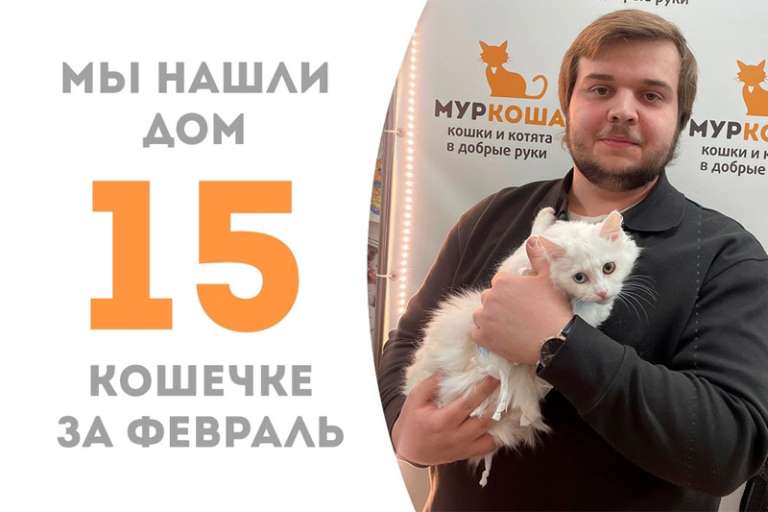 Очаровательная Аскелла пробыла у нас два месяца!