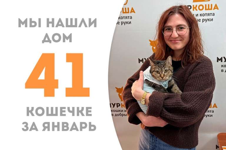 Амурная Айна нашла дом!