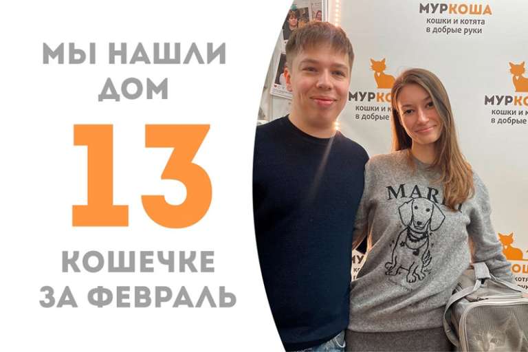 Балалайка становится домашней лапочкой!
