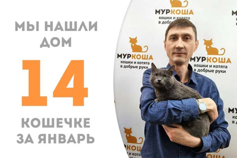 Блистательная Беллатрикс уезжает в семью!