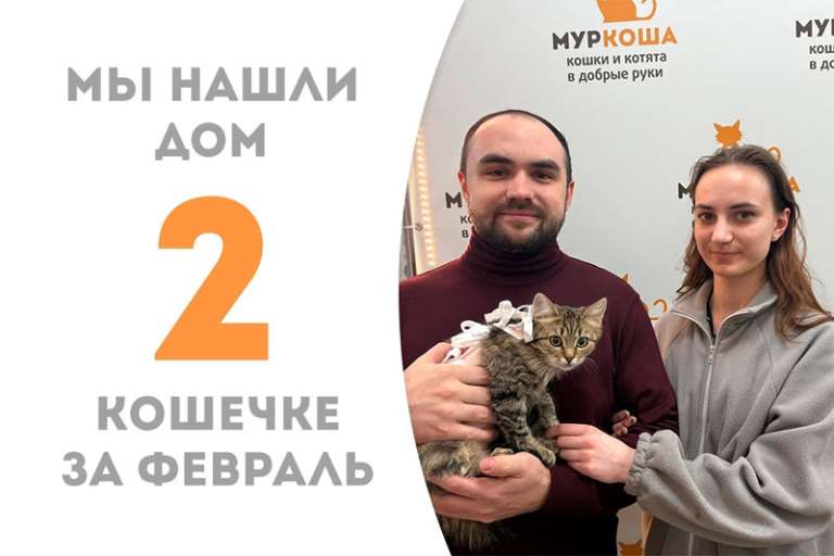 Сказочная Бобрита нашла любимую семью!