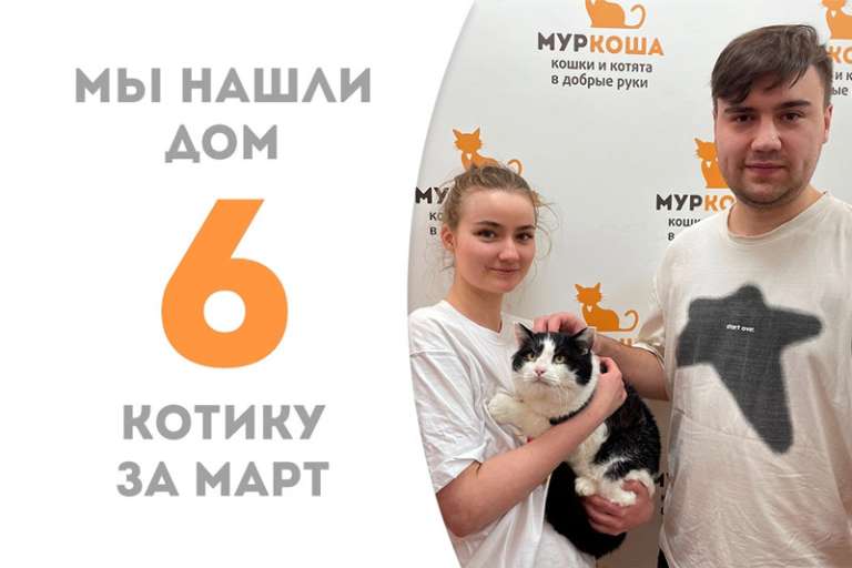 Меньше двух месяцев потребовалось котику Бонито, чтобы найти семью!