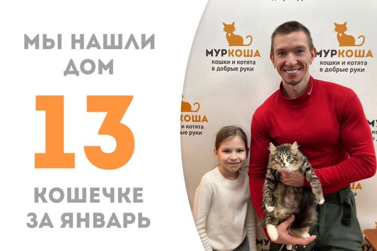 Очаровашечка Чебурашечка обрела дом!