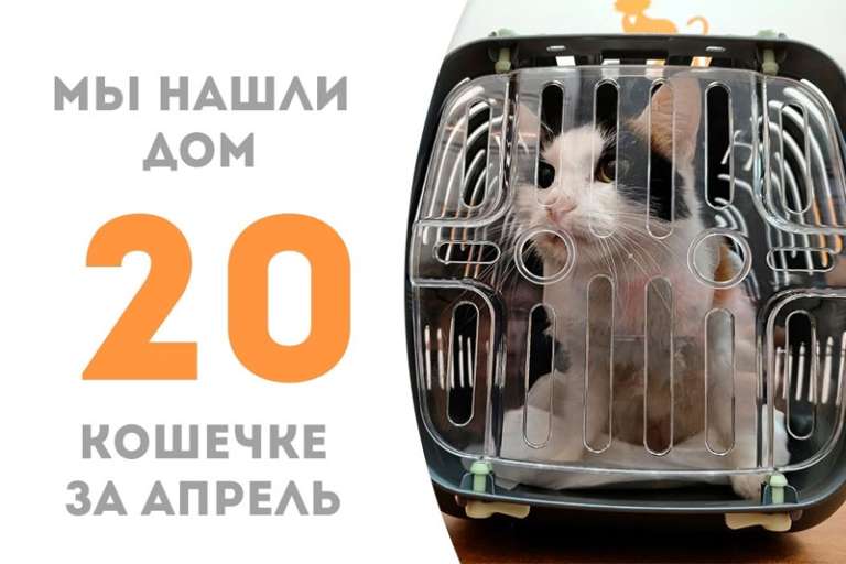 Удивительная Чози стала домашней!