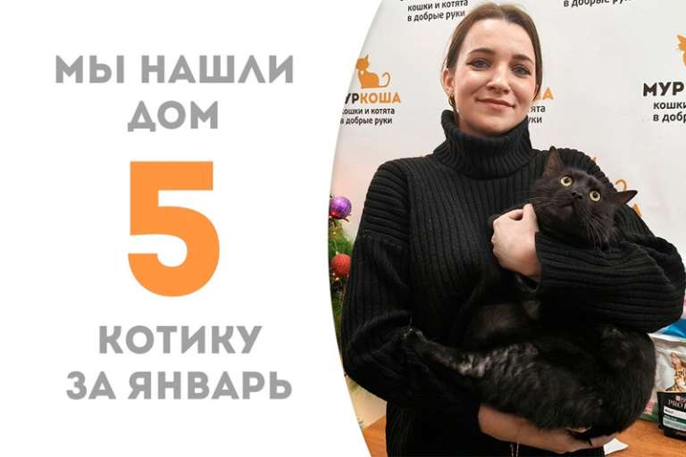 Галактический котик Фартинг стал домашним!