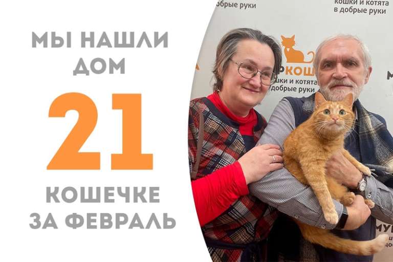 Лучезарная Гестия нашла дом!