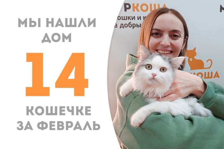 Чудесная Гравюра нашла свои ручки!