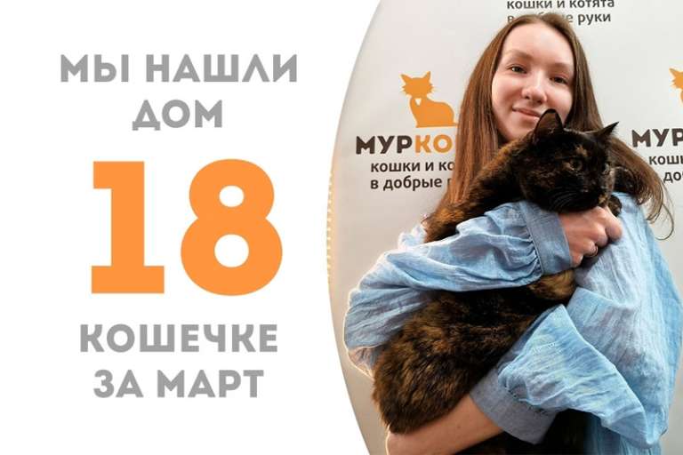 Королевишна Инфанта теперь домашняя!