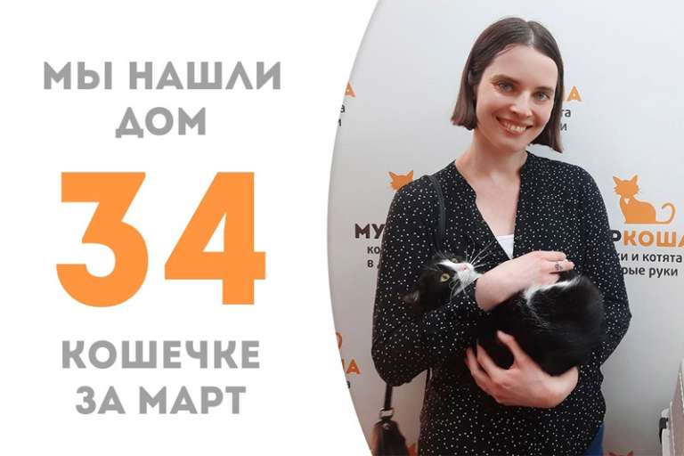 Красотка Канапешка обрела дом!