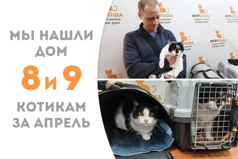 Черно-белые Канкун и Иветти теперь домашние!