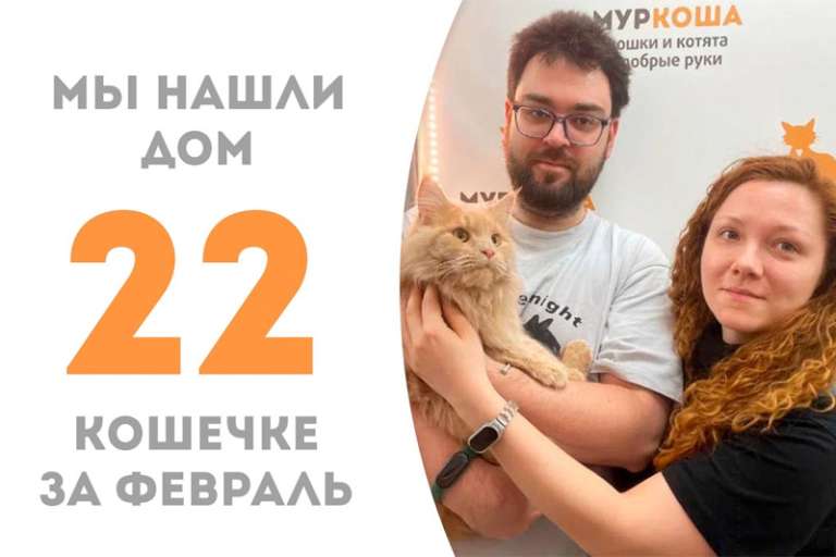 Всего 4 дня пробыла у нас в приюте неотразимая Керама!