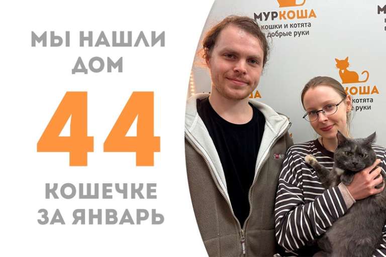 Мягкосердечная Харти стала домашней!