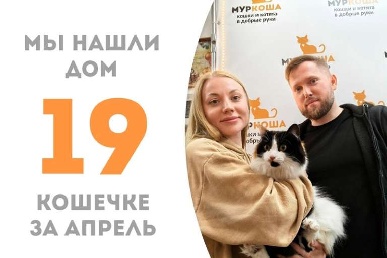 Важная дама Комендантша теперь дома!