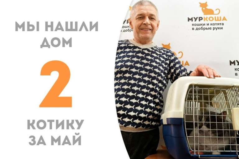 Неугасаемый Компис нашел семью!