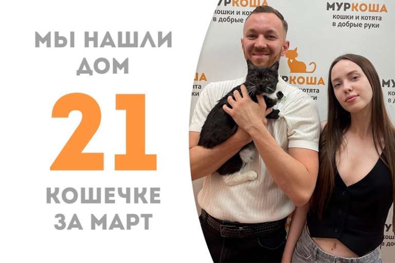 Утонченная Краюшка нашла дом!