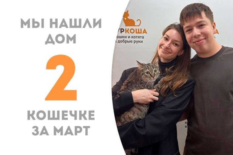 Чуть больше месяца потребовалось Ласочке, чтобы обрести дом!
