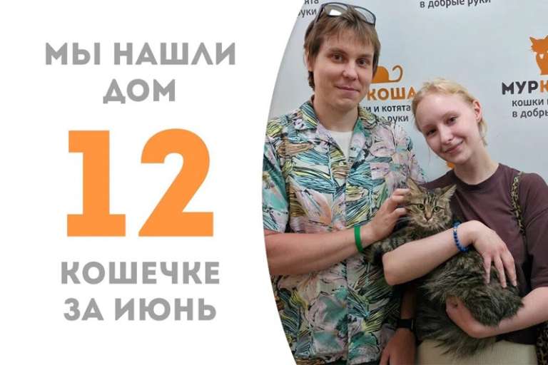 Лапочка Лайда стала домашней!