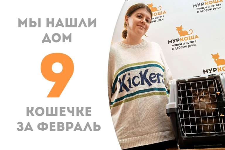 Чудесная ласточка-котенька Липонька обрела дом!