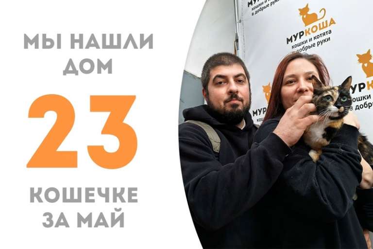 Крошка Маффинка нашла родных и уехала к Шай-ли!
