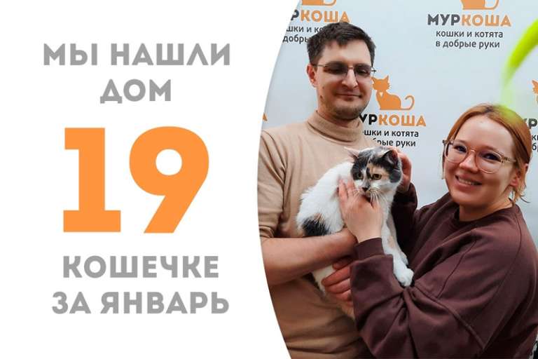 Чудодейственная кошечка Макраме обрела заботливые ручки!