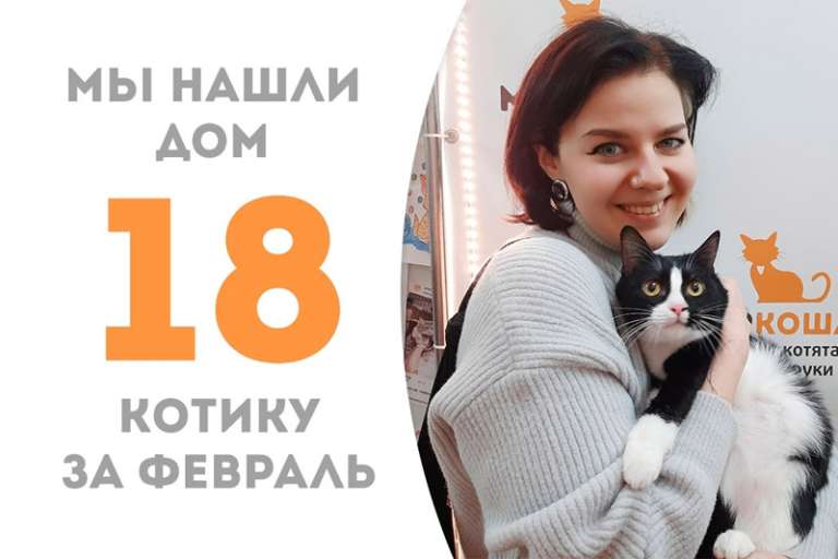 Восхитительный Матэо обрел дом!