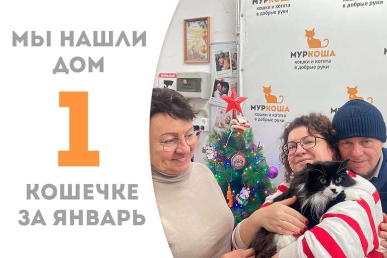 Грациозная дама Мулан обрела дом!