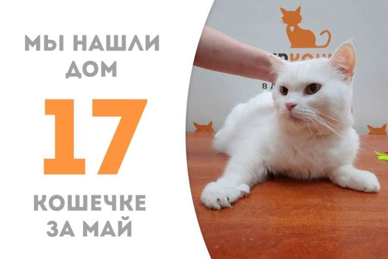 Невероятная Никитишна стала домашней любимицей и уехала к Легенде!