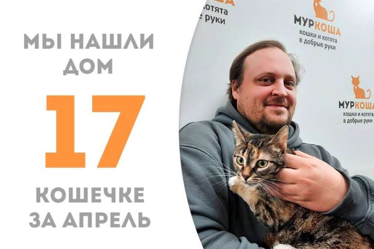 Красотка Отсечка дома!