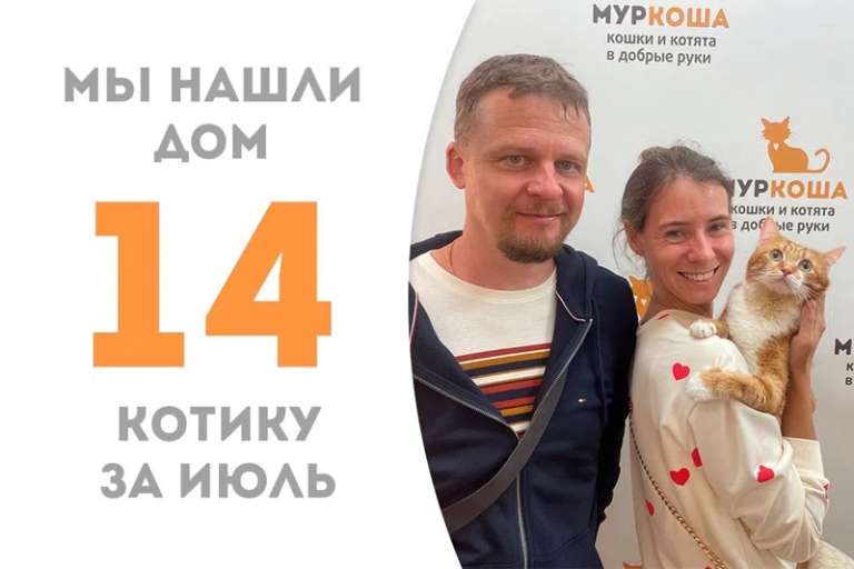 Милейший мурлыка Паффин уезжает домой!