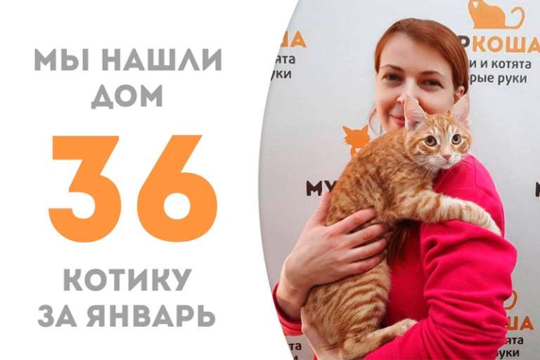 Раскованный Пампуш обрел заботливые ручки!