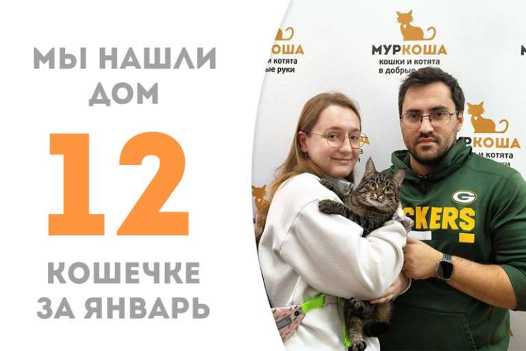 Сладушка Пампушка обрела счастье в новой семье!