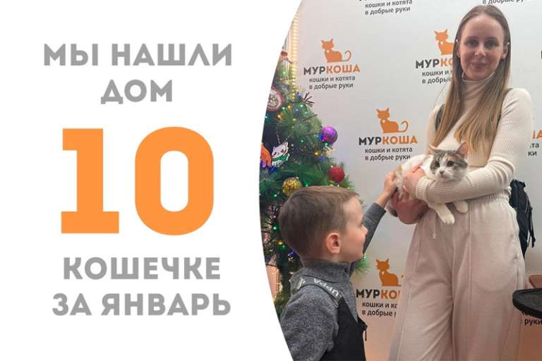Меньше месяца понадобилось котенку Печенюшечке, чтобы стать домашней!