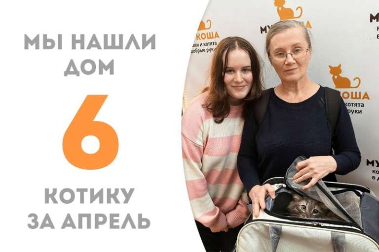 Восхитительный котик Пельменька обрел дом!