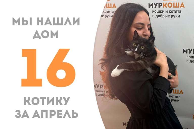 Очаровательный Персей теперь домашний!