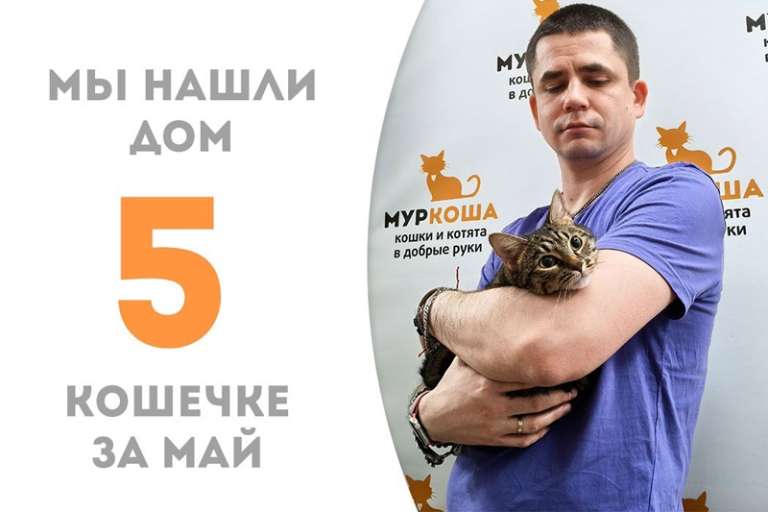 Звонкая Певунья нашла дом!