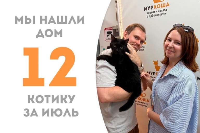 Уверенный в себе котик Позитрон стал домашним!