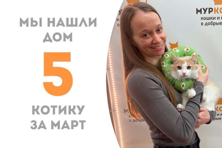 Находчивый Процион отправляется в уютный дом!
