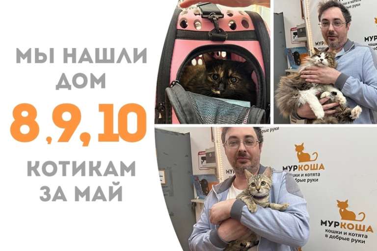 Очаровательные Рюрик, Мережка и Марсита уехали в одну семью!