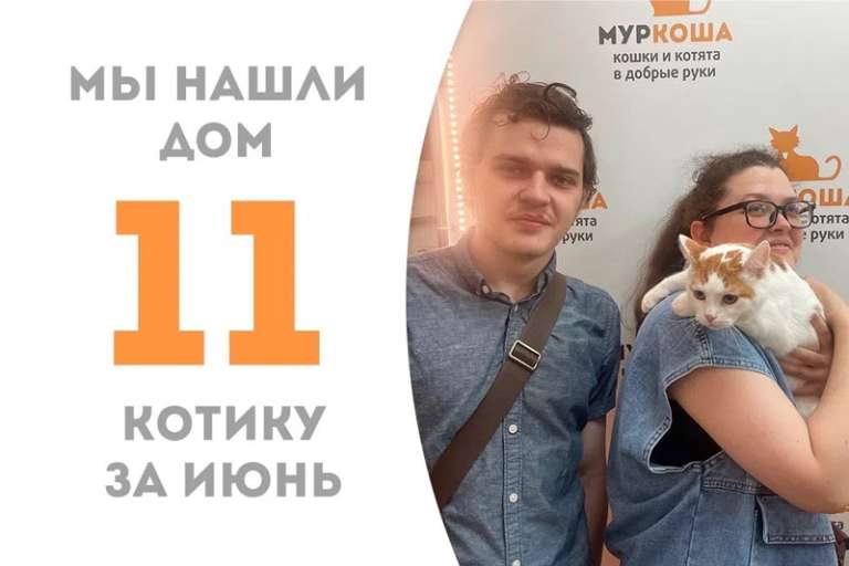 Прекрасный Симоша уезжает в семью!