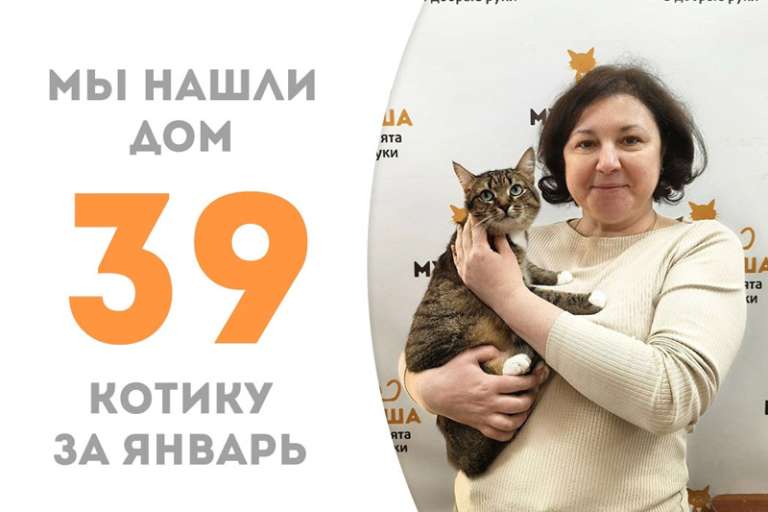 Впечатляющий Смартик обрел дом!