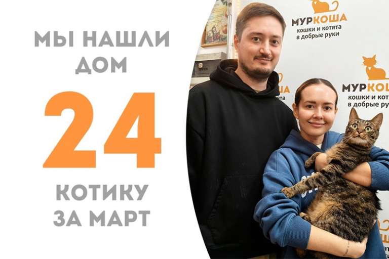 Меньше двух месяцев понадобилось шустрому Спринтеру, чтобы обрести дом!