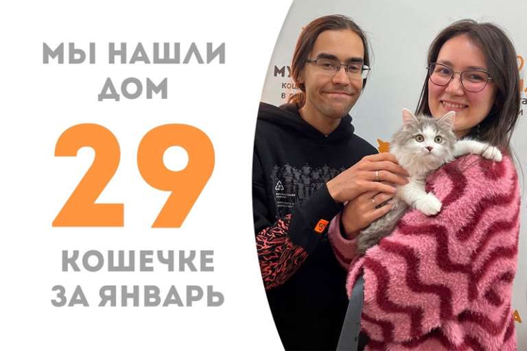 Лапочке Текстурке повезло найти дом!