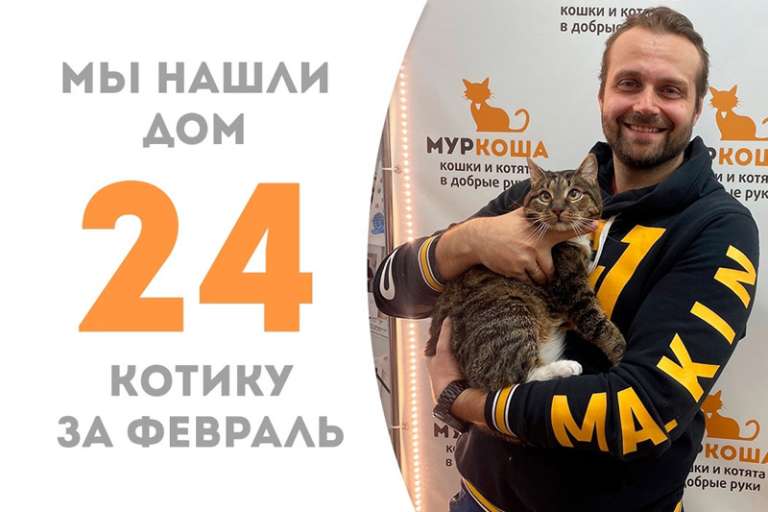 Умопомрачительный Теобальд обрел уютный дом!