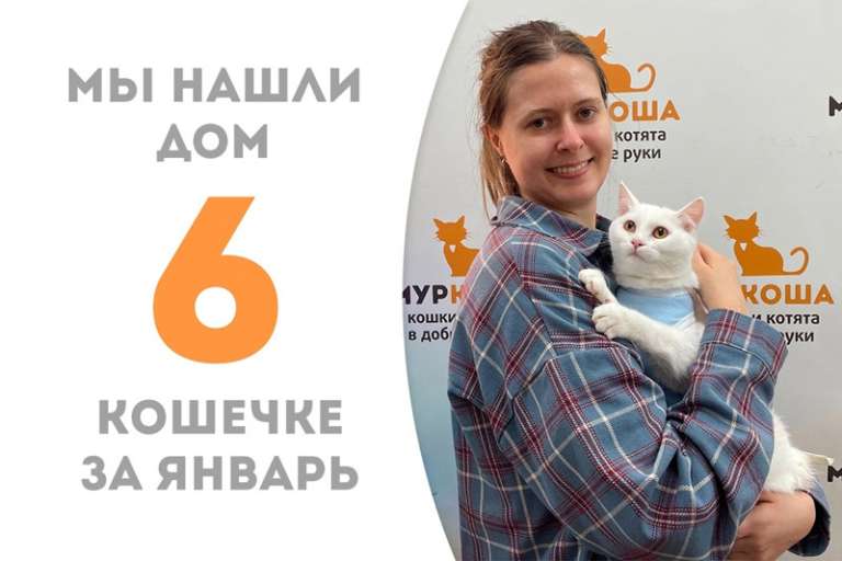 Перфектная кошечка Тиамо обрела дом меньше чем за два месяца!