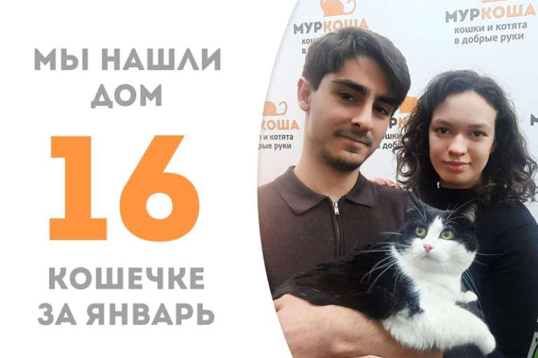 Неподражаемая Тулуза уезжает в уютный дом!