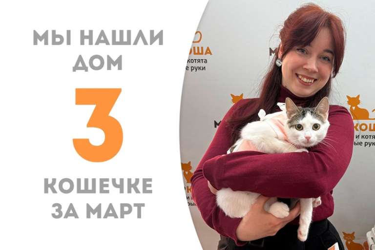 Романтичная кошечка Йоль нашла дом!