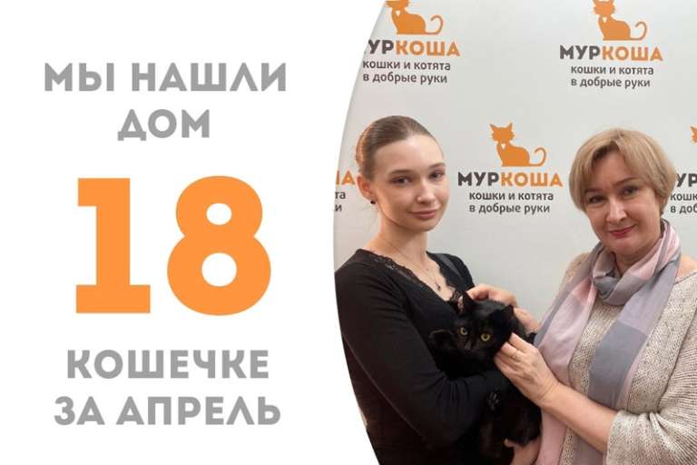 Харизматичная Ютака стала домашней!