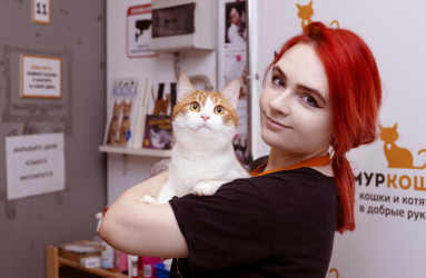 Юлия Русанова