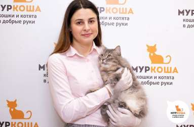 Ирина