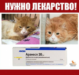 Лекарство